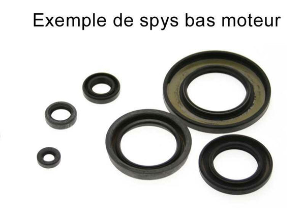Centauro Oil Seal Set 731A004SR