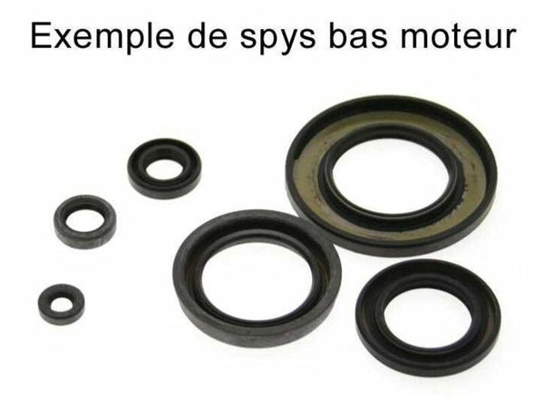 Centauro Oil Seal Set 930A006SR