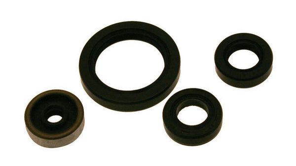 Centauro Oil Seal Set 990A060sr