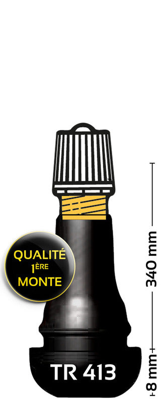 BIHR TR413 Supapă de anvelope cauciucate - pachet de 1002014