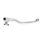 Dreptul Drept (Silver) 789b-1