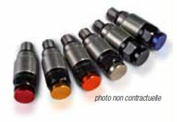 Supapă de eliberare a presiunii inox