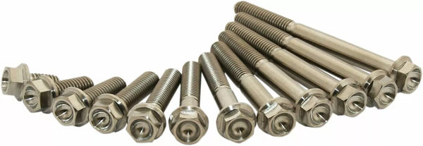 Scar Titanium Bolt M6x12 Pack of 2 Stim6x1202