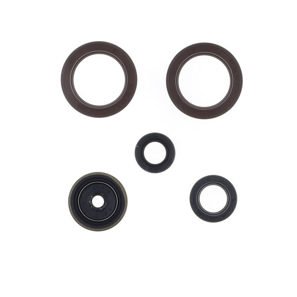 Centauro Oil Seal Set 731A125SR