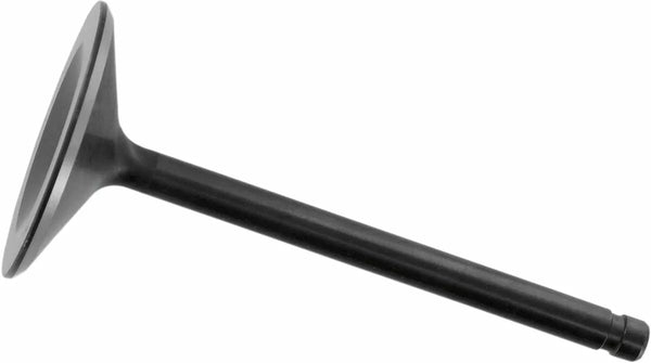 Valva Kibblewhite în 2000TC88 99-04 20-20108